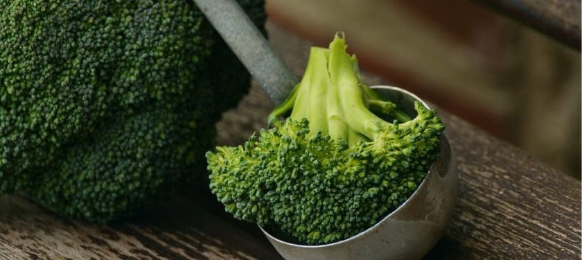 broccoli-1974764_1067 CC0 broccoli-1974764_1067 CC0