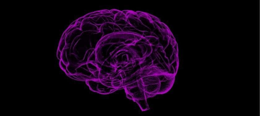 brain-1787622_1067 px CC0 brain-1787622_1067 px CC0