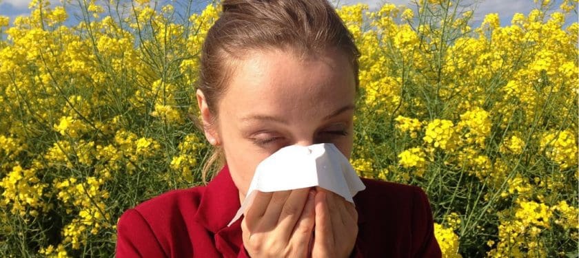 allergy-1738191_1067 CC0 allergy-1738191_1067 CC0