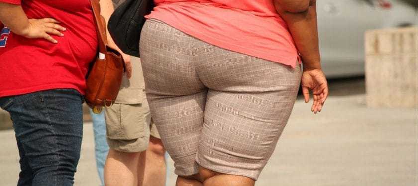 thick-373064_1067px CC0 thick-373064_1067px CC0