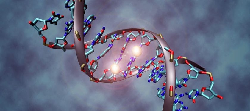 1000px-DNA_methylation - Christoph Bock, Max Planck Institute for Informatics DNA methylation