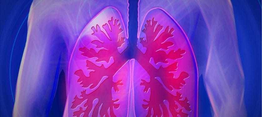 upper-body-944557_1067 CC0 Lungs, airways