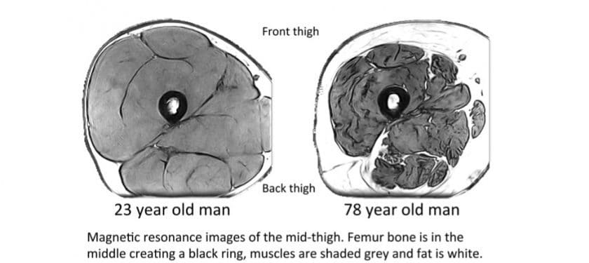 164848_web Piasecki et al. 164848_web Piasecki et al.