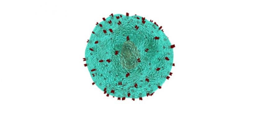 T-helper cell 973px CC0 T-helper cell 973px CC0