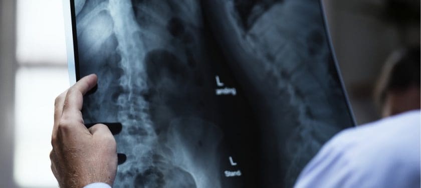 anatomy-3003099_1067px CC0 anatomy-3003099_1067px CC0