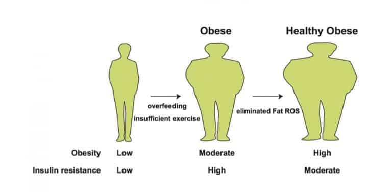 Oxidative stress makes the difference between metabolically abnormal and healthy forms of obesity