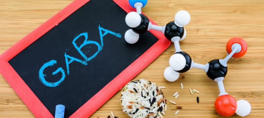 gamma-Aminobutyric acid (GABA) in germinated rice GABA molecule is important neurotransmitter in the mammalian central nervous system