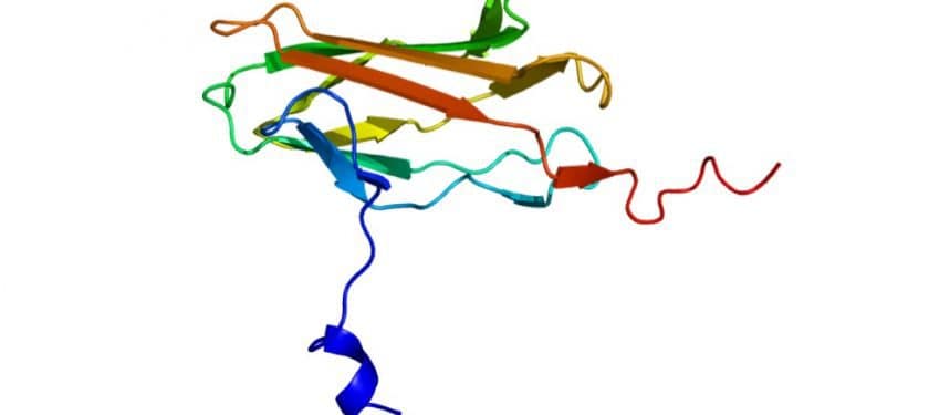 Protein_RUNX3_PDB_1cmo Protein_RUNX3_PDB_1cmo
