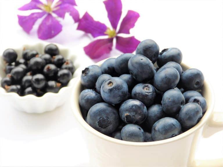 Eating blueberries every day improves heart health
