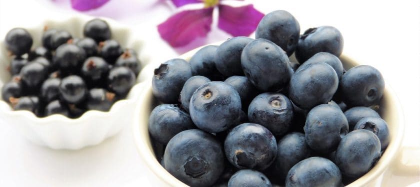 blueberries-2546157_1280 blueberries
