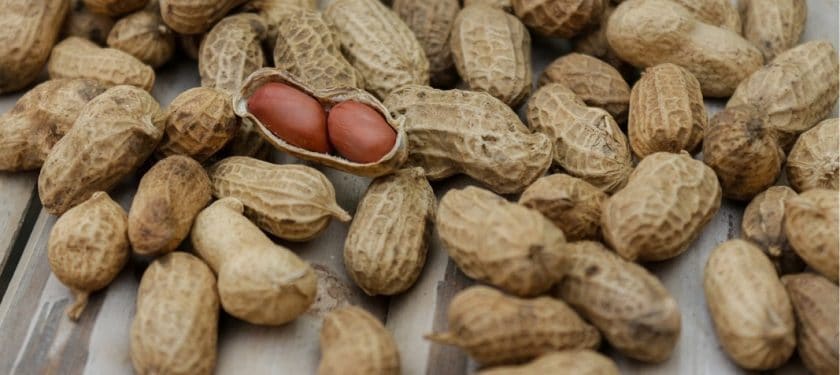 blur-1850809_1280 peanuts