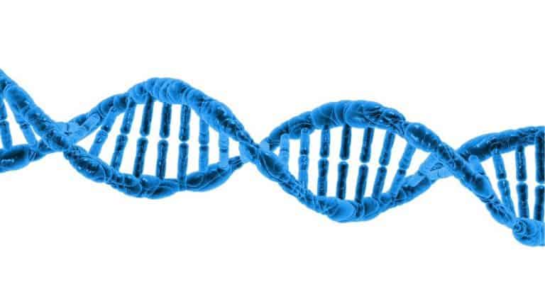 Scientists discover a role for ‘junk’ DNA