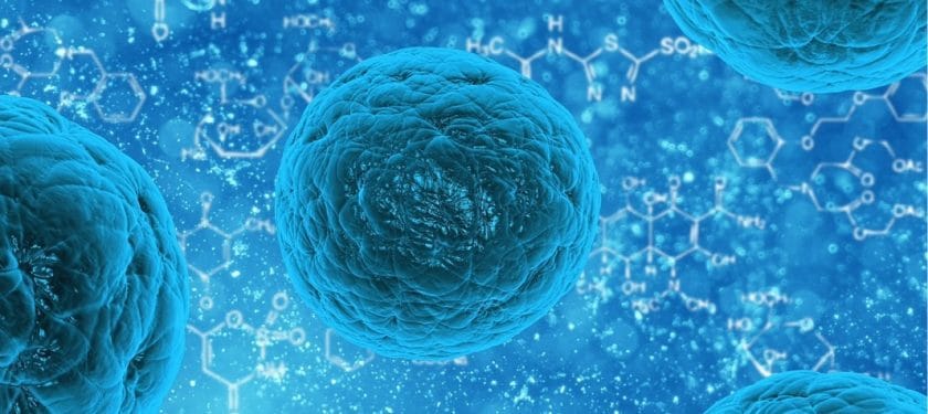 stem-cell-163711_1280 stem-cell-163711_1280