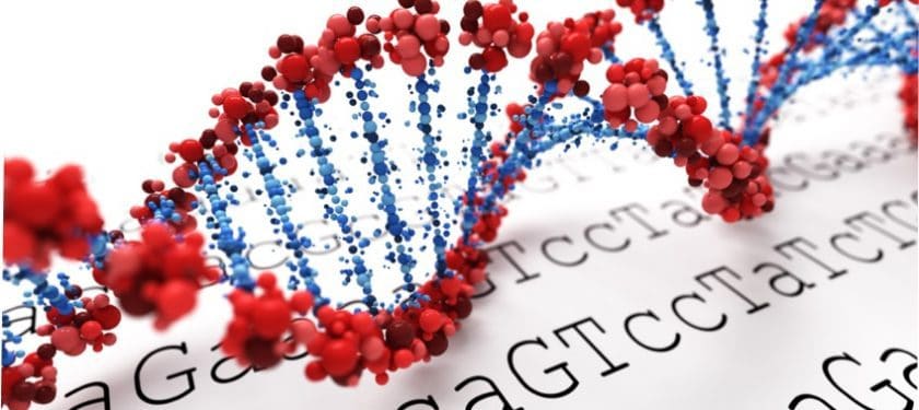 Depositphotos_50382113_m-2015-SSilver-Mod DNA, genetics