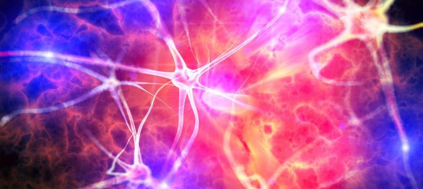 Depositphotos_79158872_m-2015-Giovanni_Cancemi Nerve cells