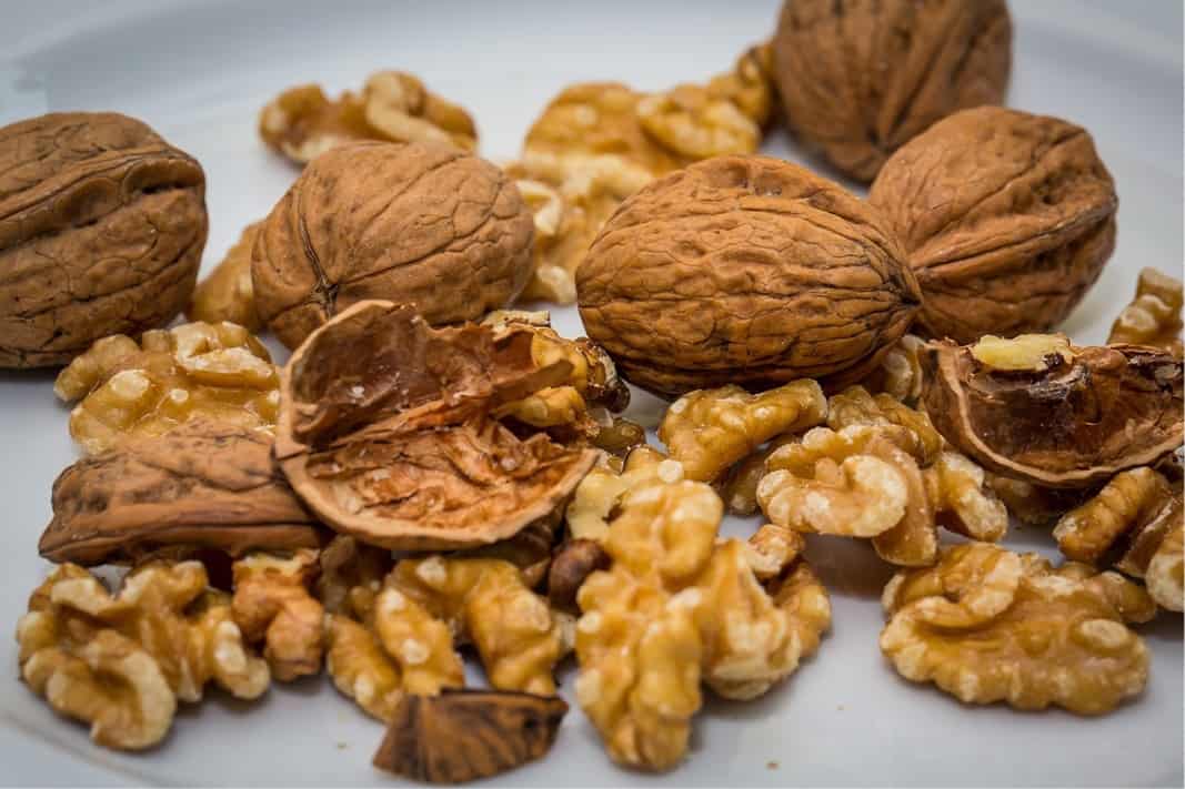 Walnuts impact gut microbiome and improve health BioNews Central