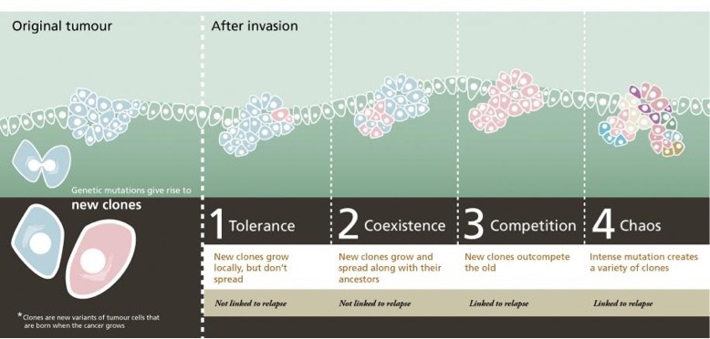 4strategies_final1 Credit- Catrin Jakobsson 4strategies_final1 Credit- Catrin Jakobsson