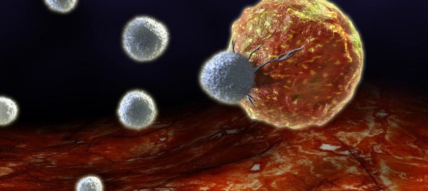 Immune cells Immune cells