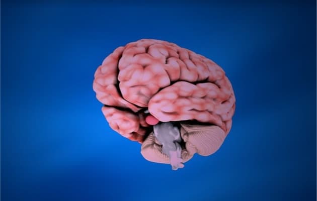 Large-scale brain epigenetics study provides new insights into Alzheimer’s disease
