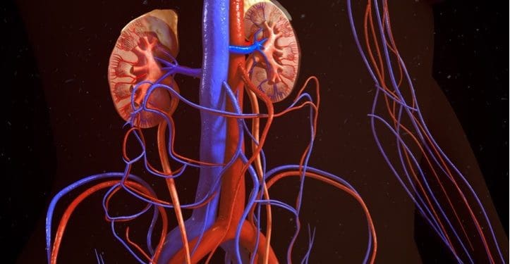 Depositphotos_106796382_m-2015-sciencepics Depositphotos_106796382_m-2015-sciencepics