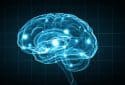'Crosstalk' between genes promotes brain inflammation in Alzheimer's