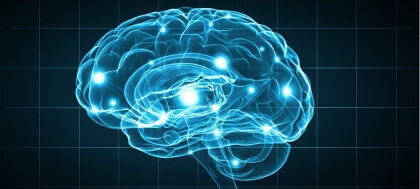 Depositphotos_77436984_m-2015-SergeyNivens brain
