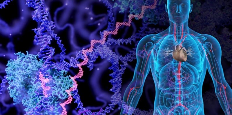 Hidden signs in cancer tissue – BioNews Central