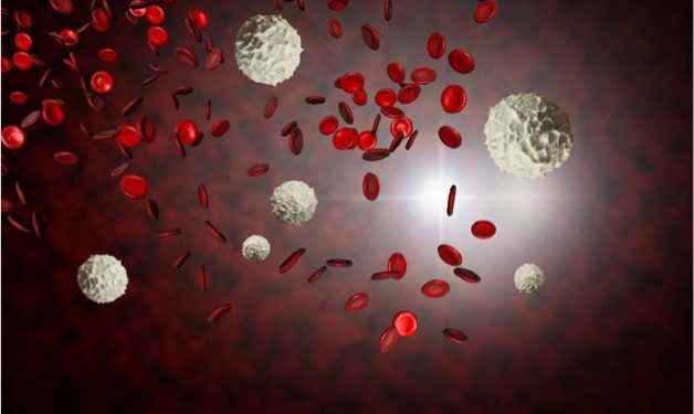 Depositphotos_104775756_xl-2015-ezumeimages immune system
