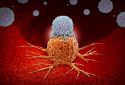 Favorable five-year survival reported for patients with advanced cancer treated with the immunotherapy