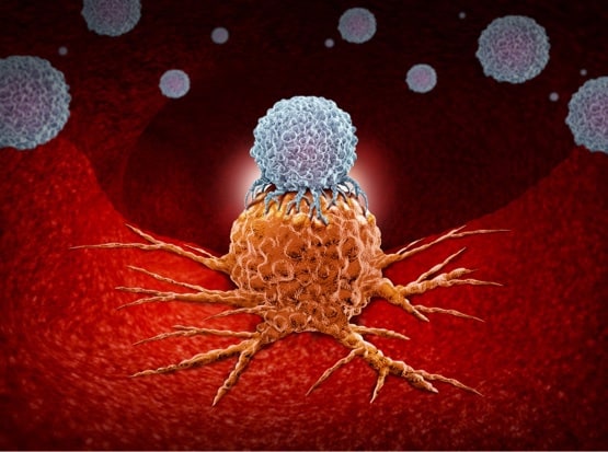 High tumor mutation burden predicts immunotherapy response in some, but not all, cancers