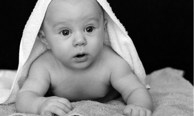 adorable-20374_640 adorable-20374_640