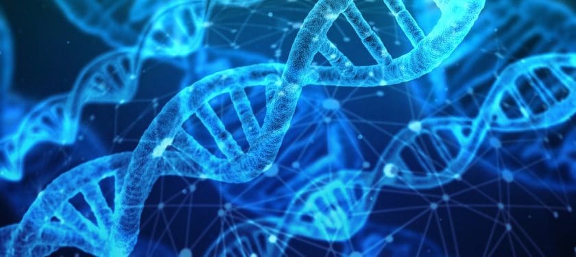 dna-3539309_1280 DNA