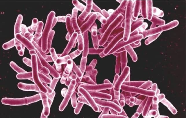 Scientists develop new drug treatment for TB