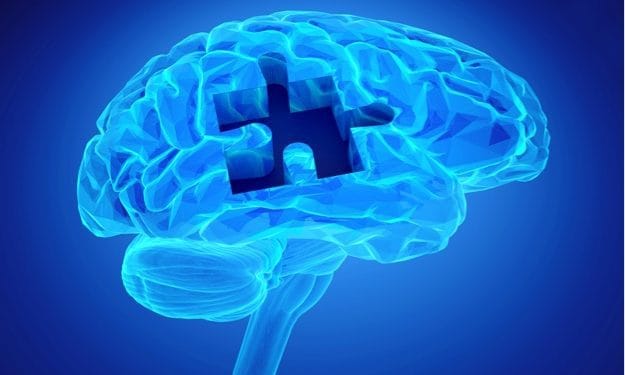 Depositphotos_61732811_m-2015-ingridat Brain