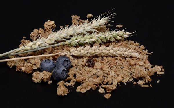muesli-2476372_640 muesli-2476372_640