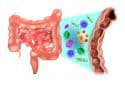 Serotonin and a popular anti-depressant affect the gut microbiome