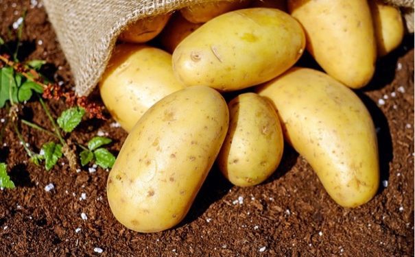 potatoes-1585075_640 potatoes-1585075_640