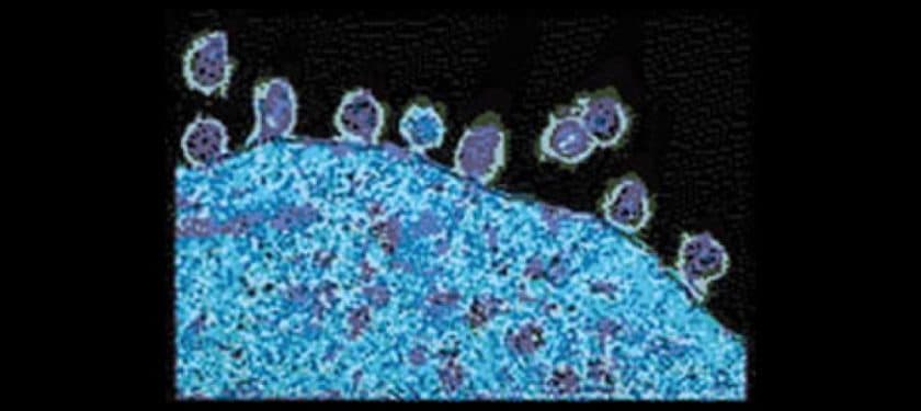 HIV_Daughter_Particles HIV_Daughter_Particles