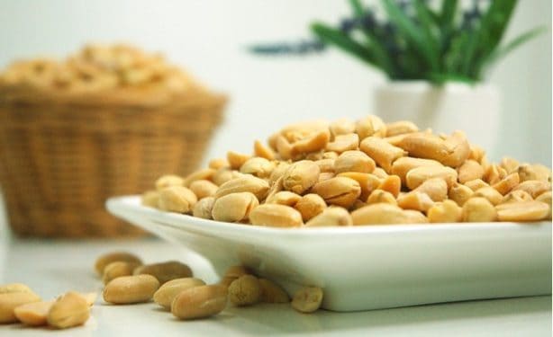 peanut-624601_640 peanut-624601_640