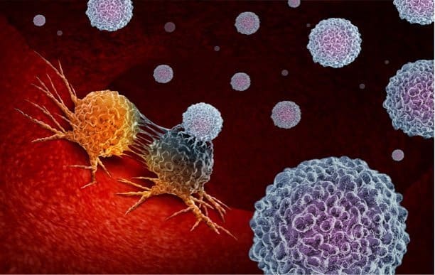 Turbocharging the killing power of immune cells against cancer