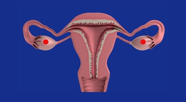 New class of drugs could treat ovarian cancer