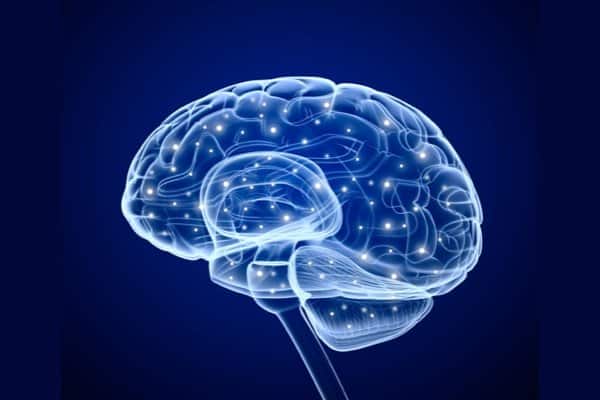Depositphotos_20582303_s-2019-Alexmit brain