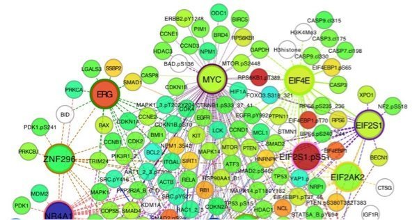 Leukemia atlas - UTSA Leukemia atlas - UTSA
