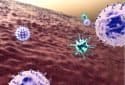 Moderna and Pfizer-BioNTech vaccines prime T cells to fight SARS-CoV-2 variants
