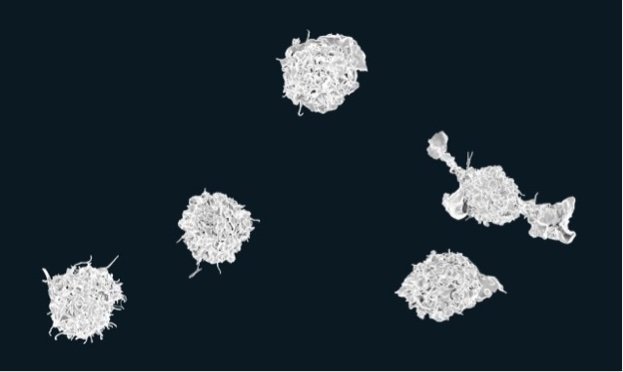 Macrophages_01 macrophages