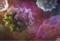 Scientists discover how the hepatitis C virus suppresses our immune system