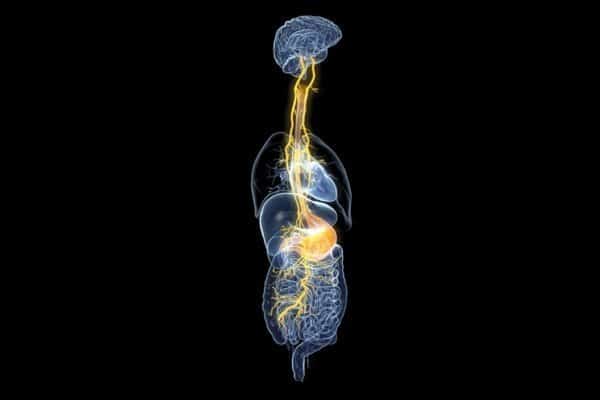 Depositphotos_257730266_s-2019 - rheumatoid arthritis Depositphotos_257730266_s-2019 - rheumatoid arthritis