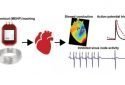 Chemicals used in plastic medical devices may interfere with heart rhythms