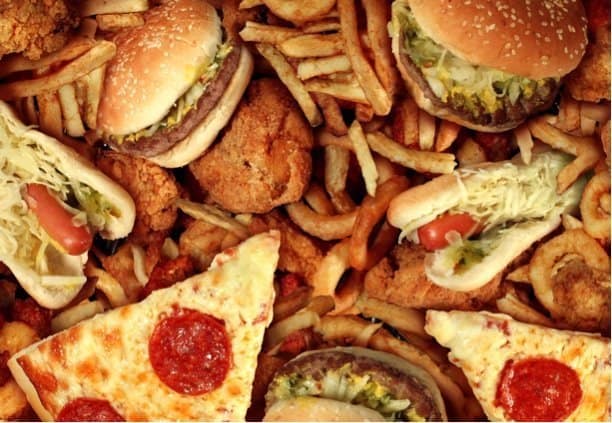 Western high-fat diet can cause chronic pain