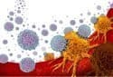 Antihistamines can improve immunotherapy response by enhancing T cell activation